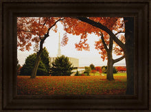 Load image into Gallery viewer, Provo Sanctuary