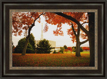 Load image into Gallery viewer, Provo Sanctuary