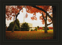 Load image into Gallery viewer, Provo Sanctuary