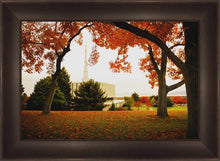 Load image into Gallery viewer, Provo Sanctuary