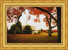 Load image into Gallery viewer, Provo Sanctuary