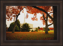 Load image into Gallery viewer, Provo Sanctuary