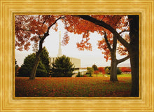 Load image into Gallery viewer, Provo Sanctuary
