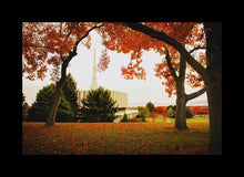 Load image into Gallery viewer, Provo Sanctuary