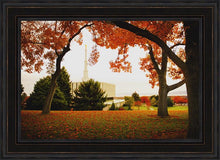 Load image into Gallery viewer, Provo Sanctuary
