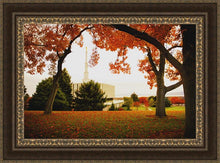Load image into Gallery viewer, Provo Sanctuary