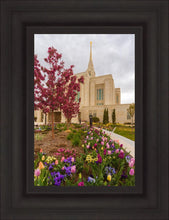 Load image into Gallery viewer, Ogden Tulips