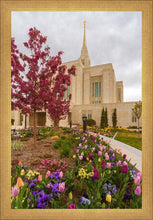 Load image into Gallery viewer, Ogden Tulips