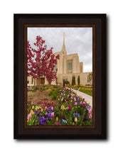 Load image into Gallery viewer, Ogden Tulips