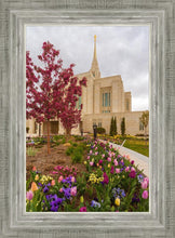 Load image into Gallery viewer, Ogden Tulips