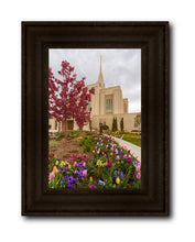 Load image into Gallery viewer, Ogden Tulips