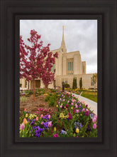 Load image into Gallery viewer, Ogden Tulips