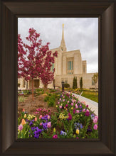 Load image into Gallery viewer, Ogden Tulips