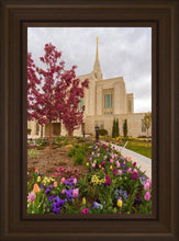 Load image into Gallery viewer, Ogden Tulips
