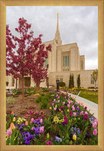 Load image into Gallery viewer, Ogden Tulips