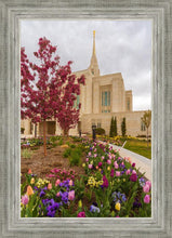 Load image into Gallery viewer, Ogden Tulips