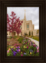 Load image into Gallery viewer, Ogden Tulips