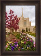 Load image into Gallery viewer, Ogden Tulips