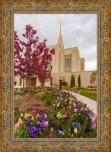 Load image into Gallery viewer, Ogden Tulips