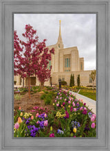 Load image into Gallery viewer, Ogden Tulips
