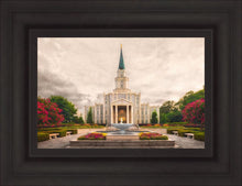 Load image into Gallery viewer, Houston Everlasting