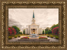 Load image into Gallery viewer, Houston Everlasting