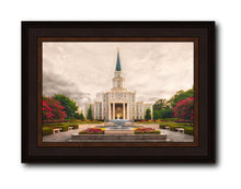 Load image into Gallery viewer, Houston Everlasting