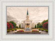 Load image into Gallery viewer, Houston Everlasting