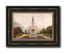 Load image into Gallery viewer, Houston Everlasting