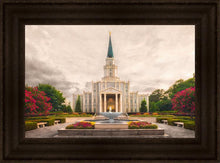 Load image into Gallery viewer, Houston Everlasting