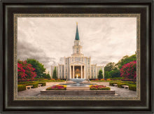 Load image into Gallery viewer, Houston Everlasting