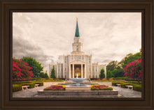 Load image into Gallery viewer, Houston Everlasting