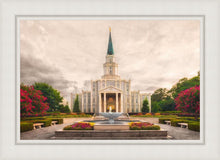 Load image into Gallery viewer, Houston Everlasting