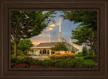 Load image into Gallery viewer, Boise Eventide
