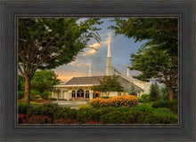 Load image into Gallery viewer, Boise Eventide