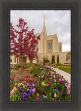 Load image into Gallery viewer, Ogden Tulips