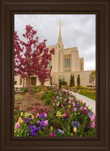 Load image into Gallery viewer, Ogden Tulips