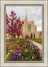 Load image into Gallery viewer, Ogden Tulips