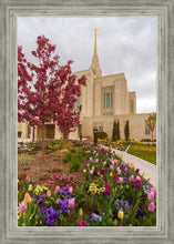 Load image into Gallery viewer, Ogden Tulips