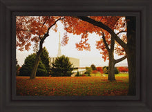 Load image into Gallery viewer, Provo Sanctuary