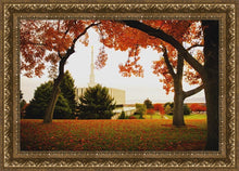 Load image into Gallery viewer, Provo Sanctuary