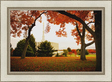 Load image into Gallery viewer, Provo Sanctuary