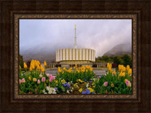 Load image into Gallery viewer, Provo Spring Tulips