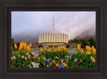 Load image into Gallery viewer, Provo Spring Tulips