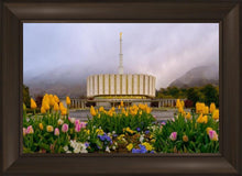 Load image into Gallery viewer, Provo Spring Tulips