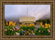 Load image into Gallery viewer, Provo Spring Tulips
