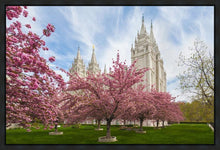 Load image into Gallery viewer, Salt Lake Spring Blossoms