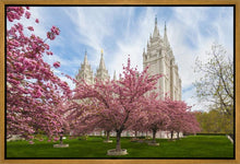 Load image into Gallery viewer, Salt Lake Spring Blossoms