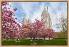 Load image into Gallery viewer, Salt Lake Spring Blossoms