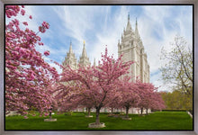 Load image into Gallery viewer, Salt Lake Spring Blossoms